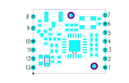 Module pin